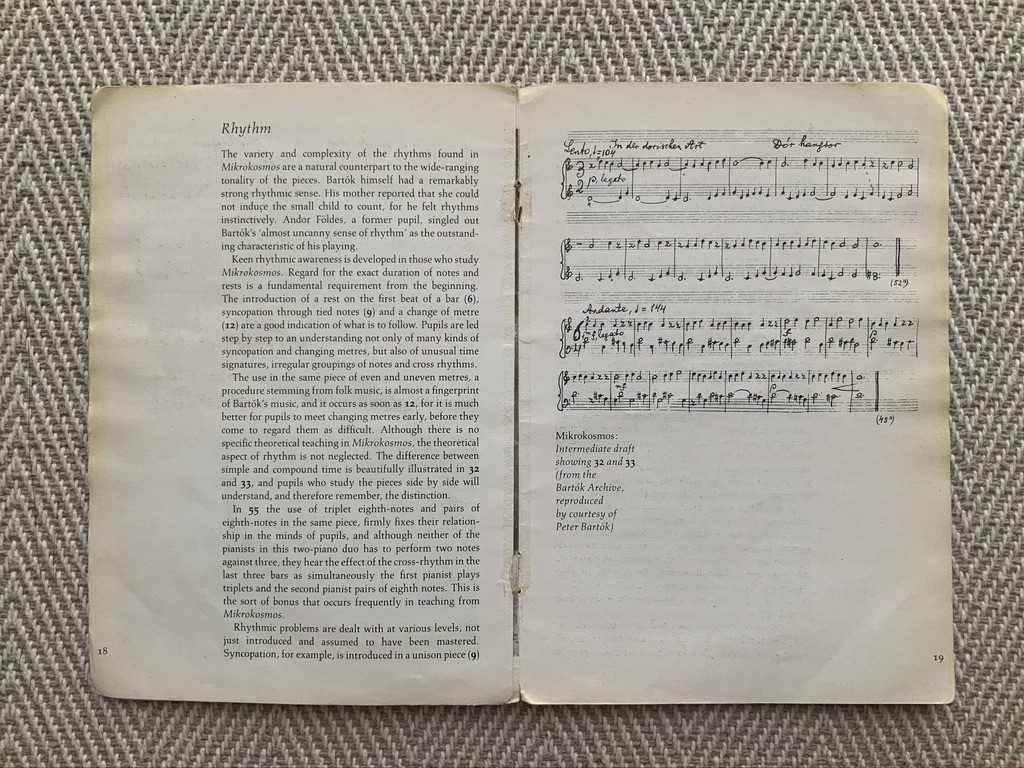 Page about rhythm in the book